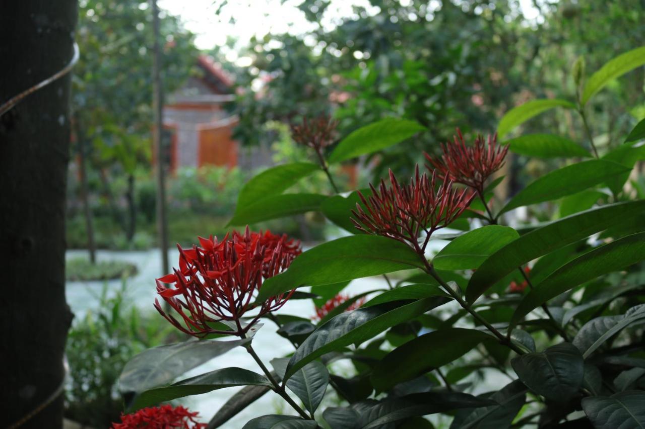 Tam Coc Thanh Privatunterkunft Ninh Binh