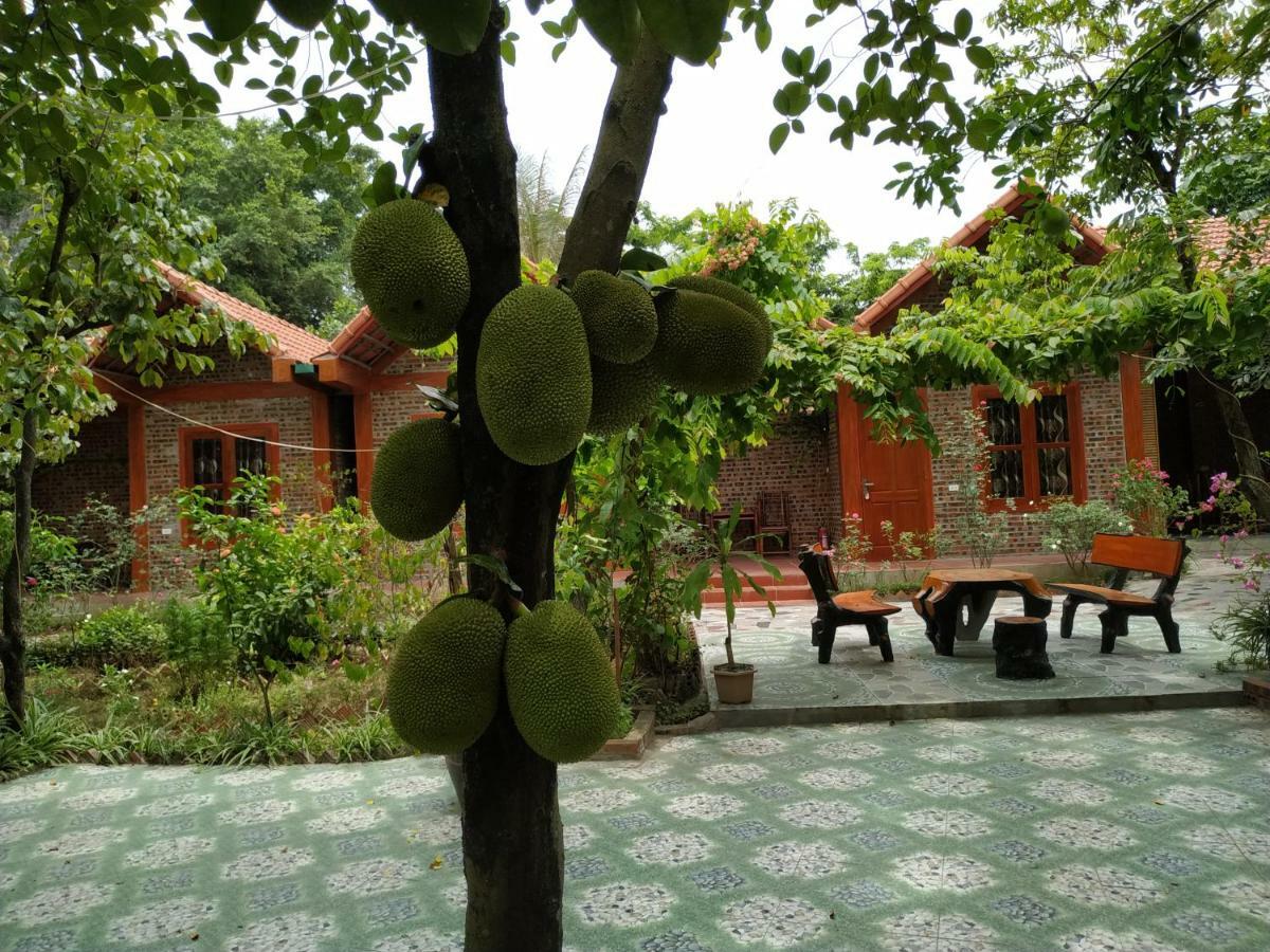 Privatunterkunft Tam Coc Thanh *